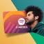 🎼 Spotify Premium 6m – login próprio