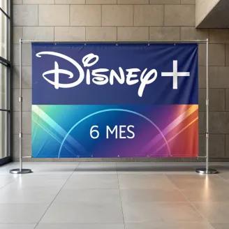 Disney+ 6 mês 🔒 sem risco
